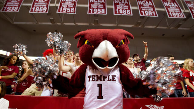 Hooter at a Temple basketball game.