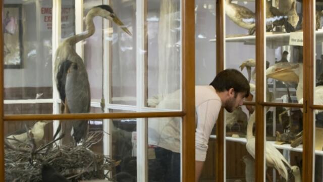 20141105_wagner_005rec_medium