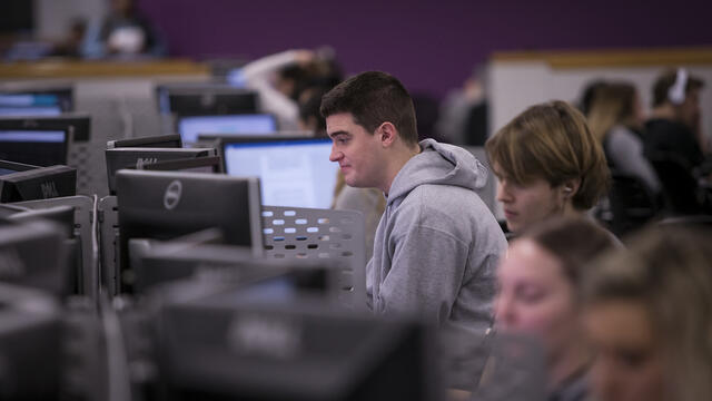 a student wearing a grey sweatshirt looks at a computer