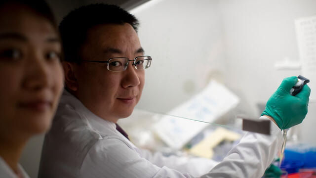 Two scientists working in a lab