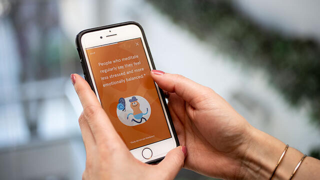 The Headspace iPhone/iPod app