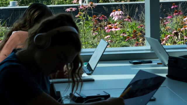 Students studying in Charles Library, with the green roof visible through a window nearby.