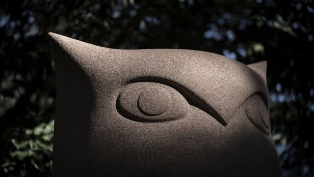 The alumni Owl statue on Main Campus.