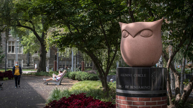 An Owl sculpture on Main Campus.