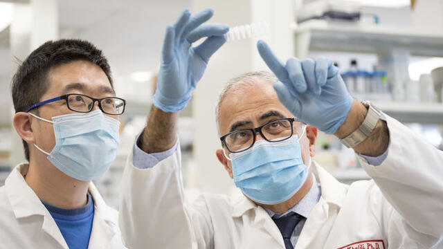 Two doctors looking at results in a lab.