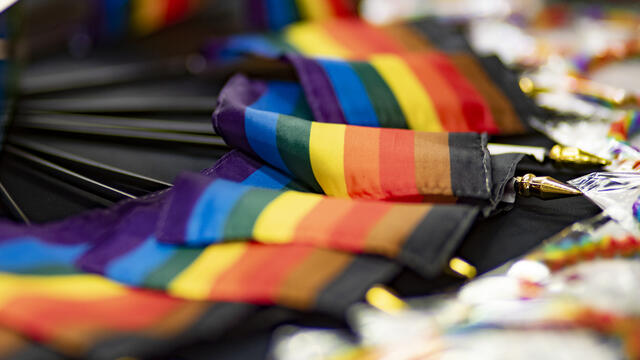 Image of Philadelphia s own Pride flag.