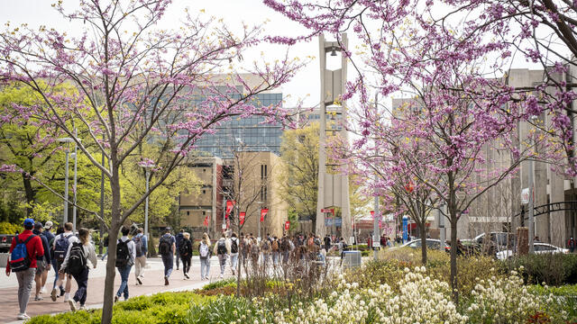 Students walking on Temple s Main Campus in early spring.