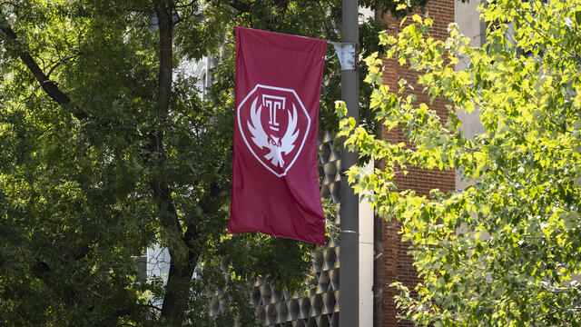 The Temple flag with the new Owl mark