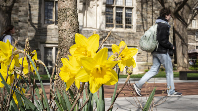 A spring campus scene.