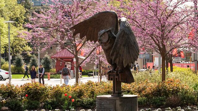 The Temple Owl statue