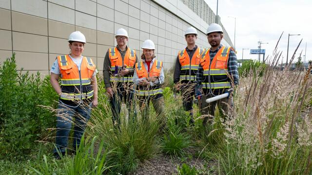 Image of the Temple research team in a bioinfiltration basin along I-95.