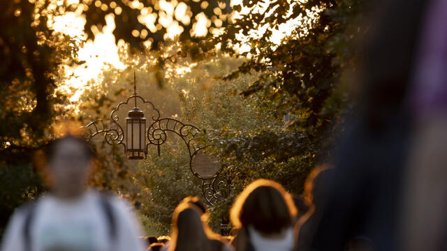 An evening campus stock photo.