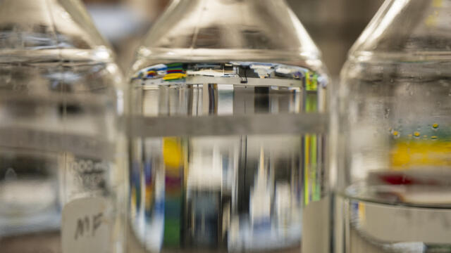 20241120_feitelson_arzumanyan_001-web_res_jpeg_150_dpi_1