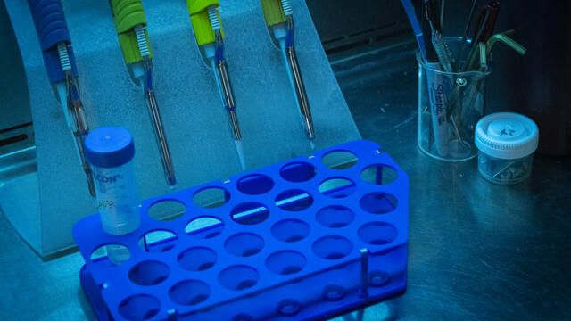 20241122_orrego_montoya_022-web_res_jpeg_150_dpi_2