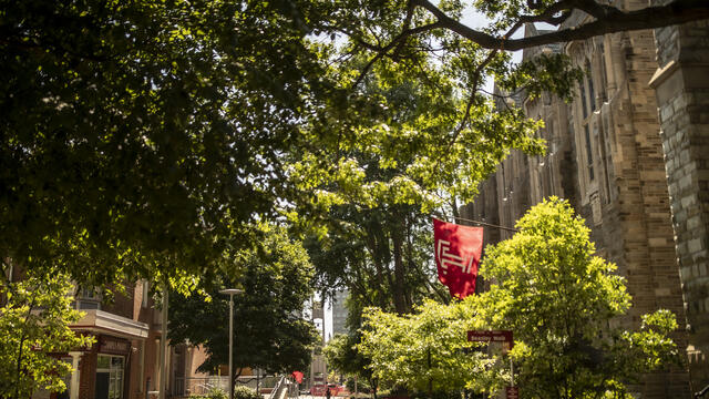 A scene of Sullivan Hall.