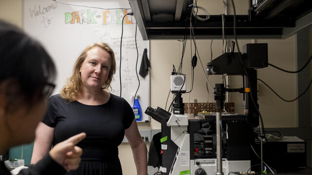 Kallie Willets pictured in her lab.