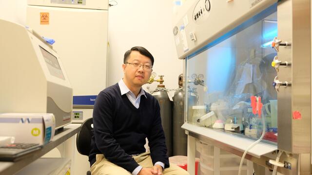 Ross Wang in the lab.