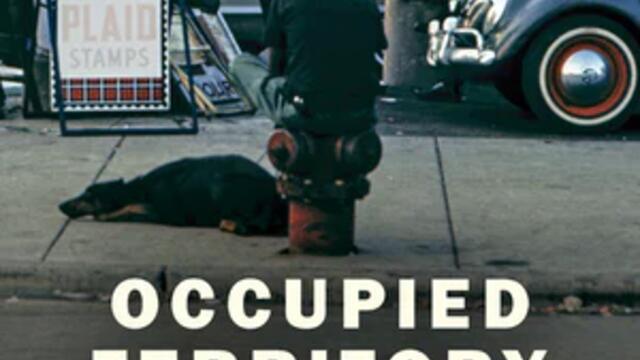 Occupied Territory Book Cover