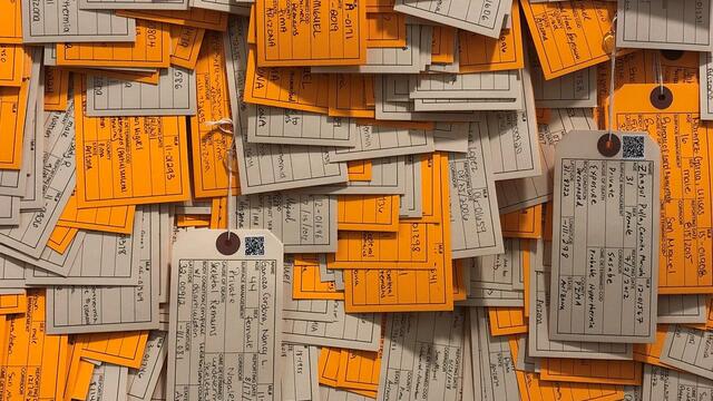 toe tags of both identified (manila-colored toe tags) and unidentified migrants (orange-colored toe tags)