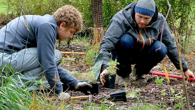 Horticulture students working on planting in the gardens.