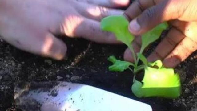 ensemble_video_-_publish_share_and_archive_internet_video