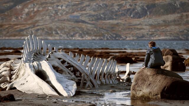leviathan