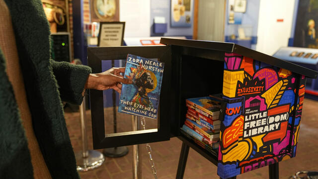 Image of A Little Free (Dom) Library, a free book-sharing box