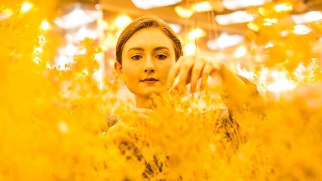 student working with plants