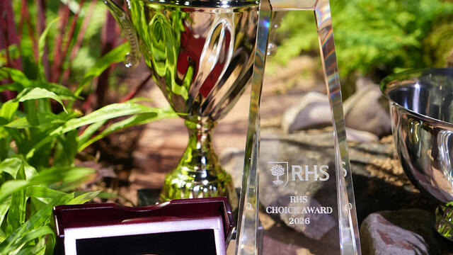 2026 Philadelphia Flower Show Awards