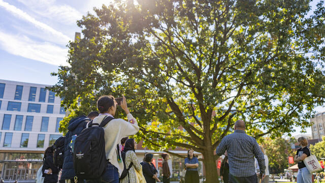 Image of Temple students learning practical ways to care for street trees on Main Campus.
