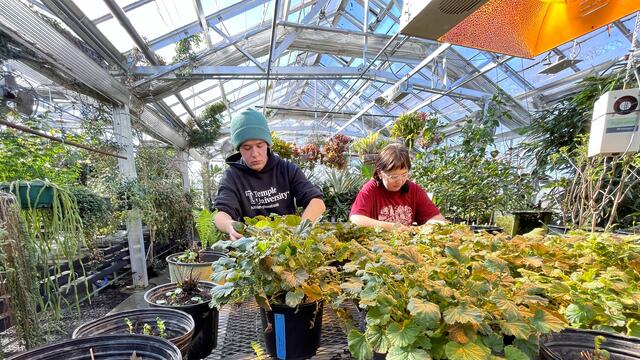 Making Horticultural Magic in the Greenhouse