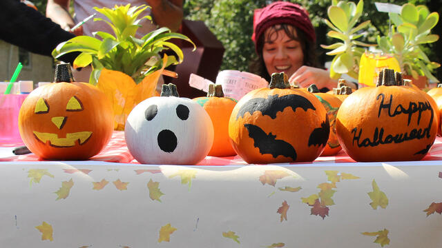 Ambler Campus: Ambler Student Life Board Fall Festival