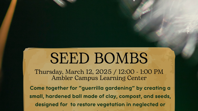 Seed Bombs