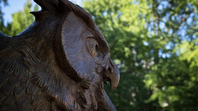 Owl statue on Main Campus.