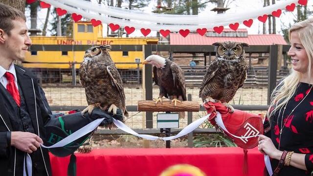 Stella and Sherlock at the alter with their handlers.