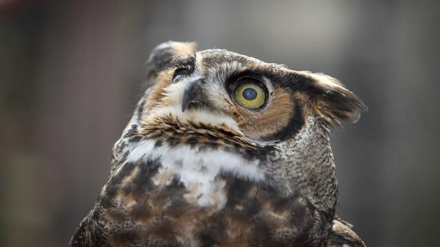 stella_wedding_029_copy_938x528_1