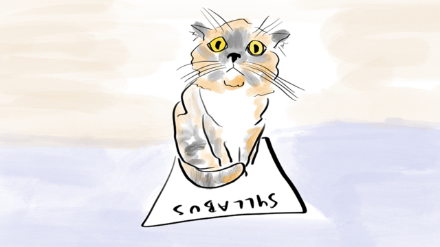 illustration of a cat sitting on a syllabus and looking concerned
