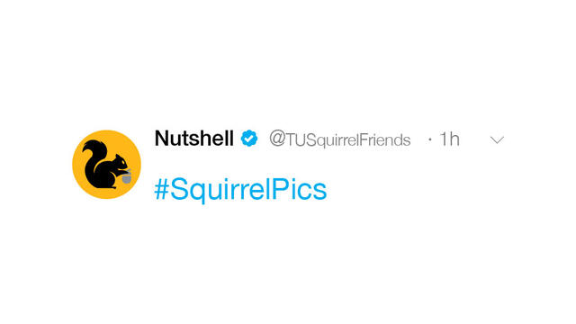 A fictional Nutshell twitter account.