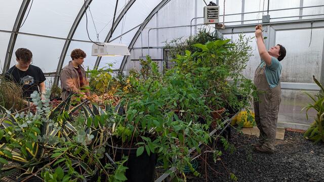 Horticulture students preparing plants in the Ambler greenhouse