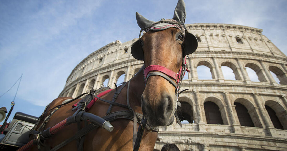 Tepel Rome Temple Rome Celebrates 50 Years | Temple Now