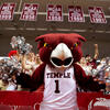 Hooter at a Temple basketball game.