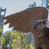The new owl statue on campus with the Bell Tower in the background