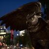 The Owl statue on Main Campus.