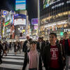 Image of Temple student studying abroad in the night life of Tokyo, Japan.