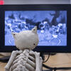 Image of an owl skeleton looking at a screen.