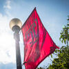 A Temple flag flies on Ambler Campus.