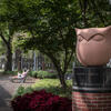 An Owl sculpture on Main Campus.