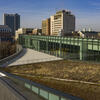 Charles Library s green roof, part of Temple s continued sustainability efforts.