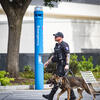 TUPD office with K-9 officer pictured.