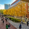 Students walking on Temples Main Campus in the fall